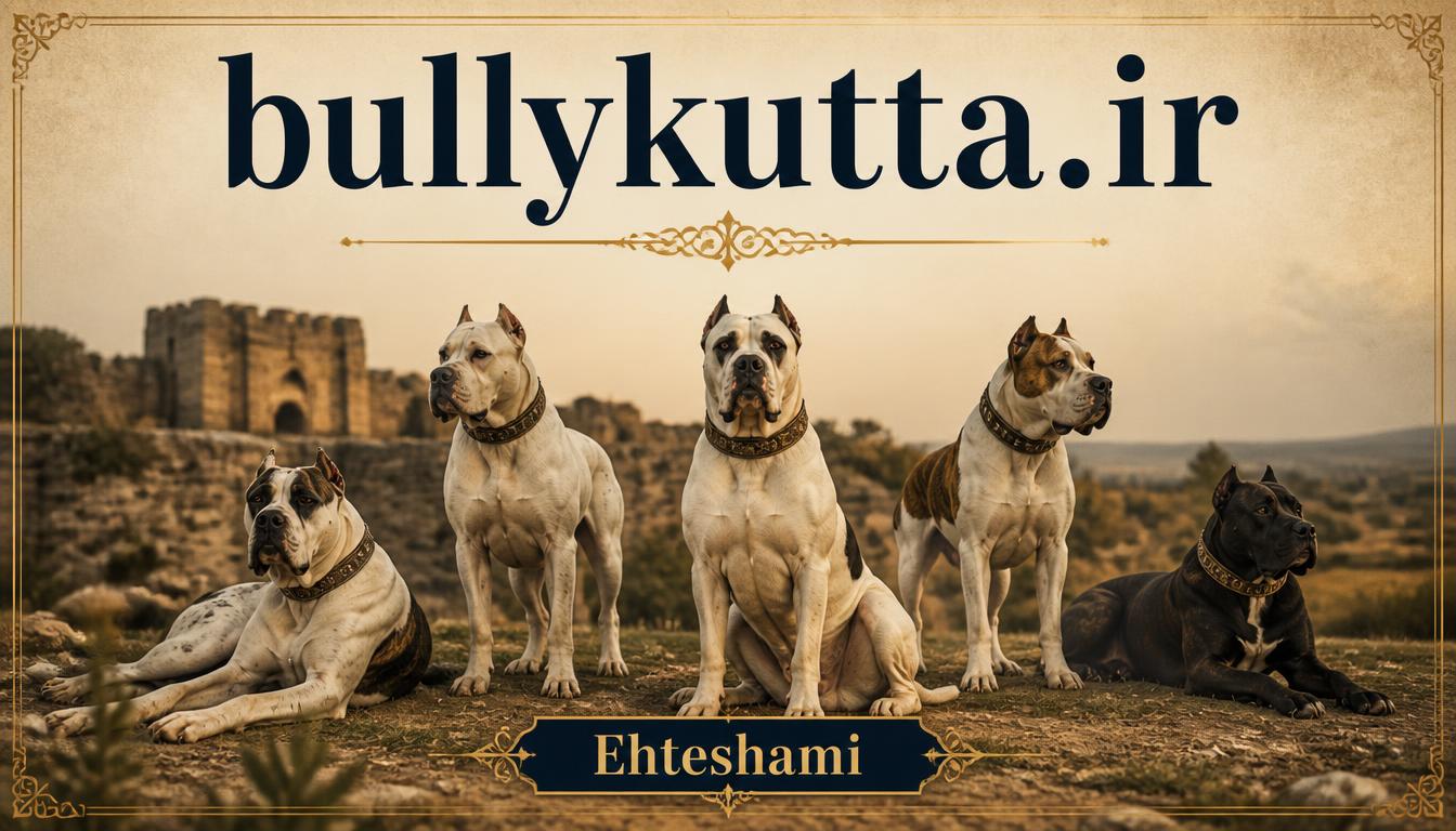 bullykutta.ir