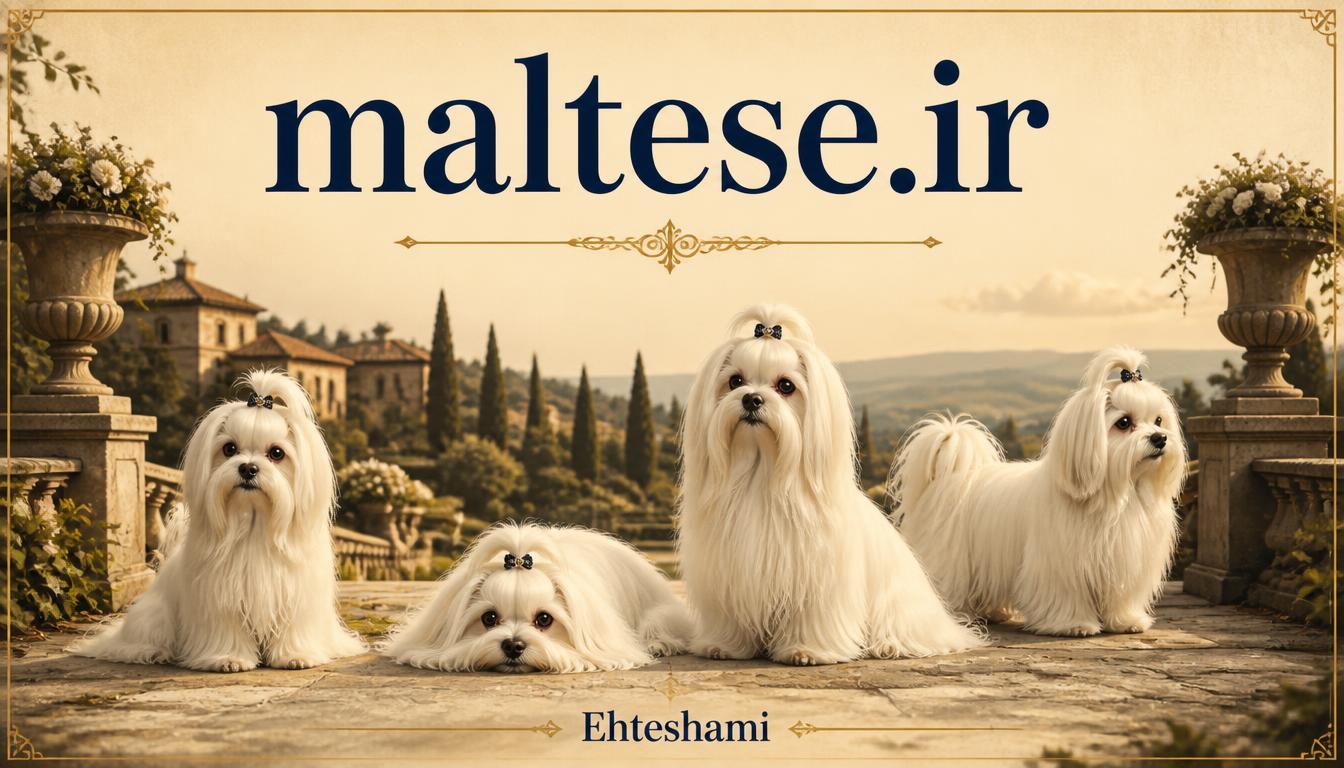 maltese.ir