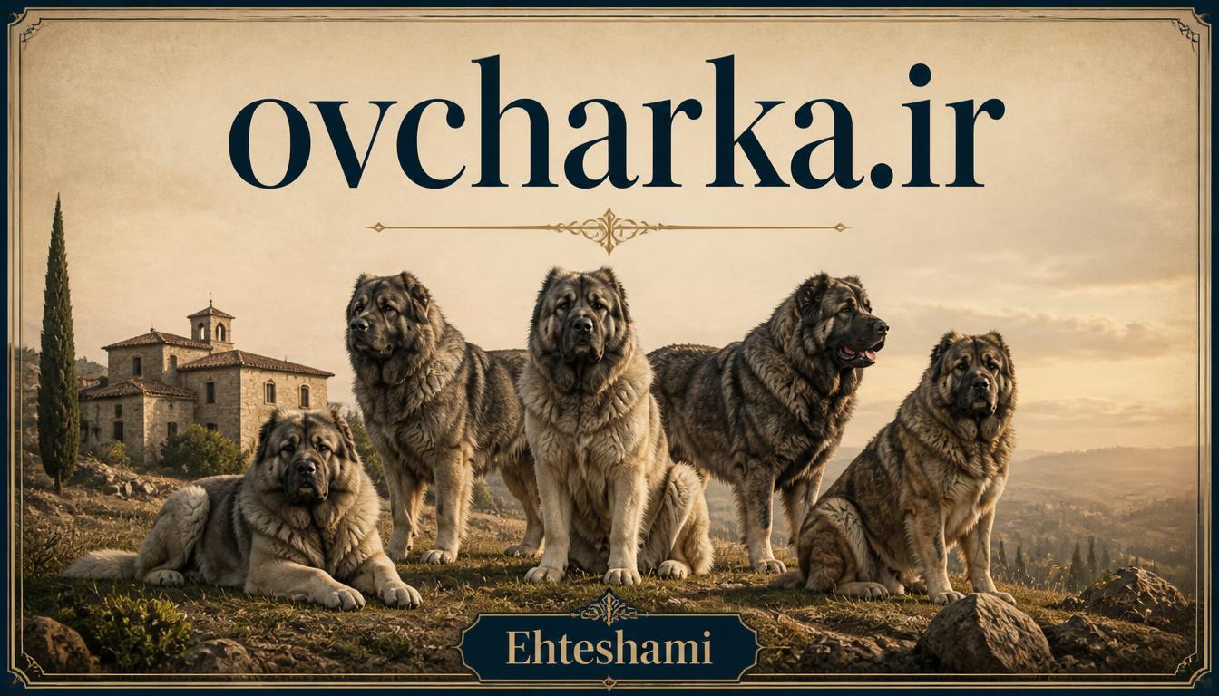 ovcharka.ir