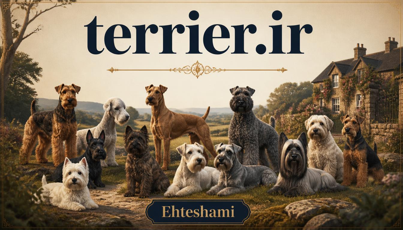 terrier.ir